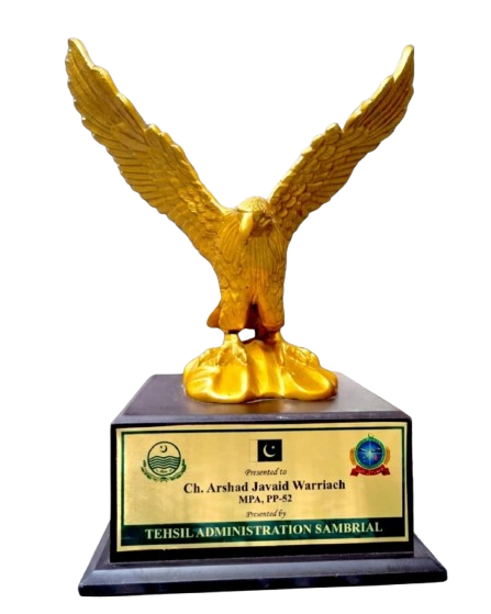 VIP Shaheen Souvenir